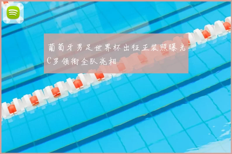 葡萄牙男足世界杯出征正装照曝光C罗领衔全队亮相