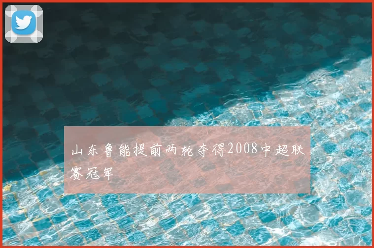 山东鲁能提前两轮夺得2008中超联赛冠军